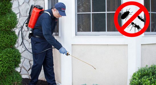 Çan Akrep İlaçlama böcek ilaçlama ve haşere kontrolü — ilaclama-tr.com